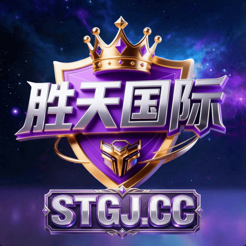 胜天国际